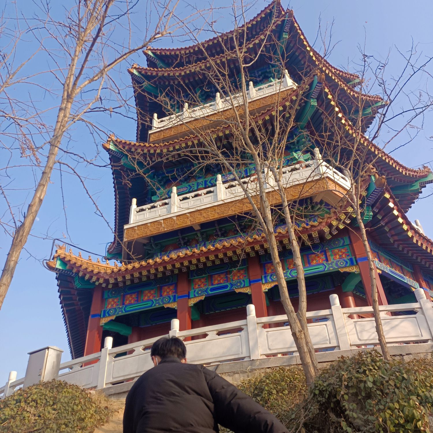 金山公园旅行图片 3