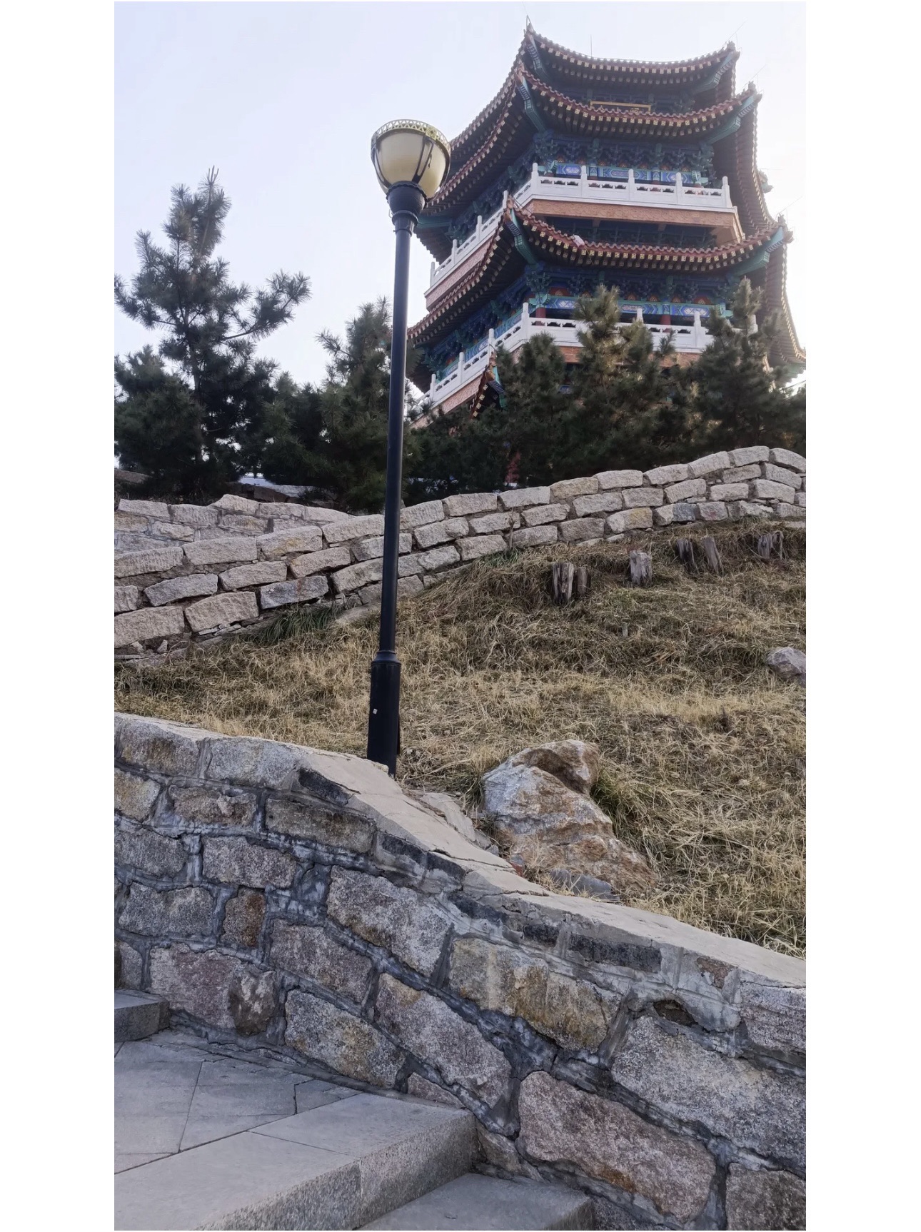 金山公园旅行图片 2
