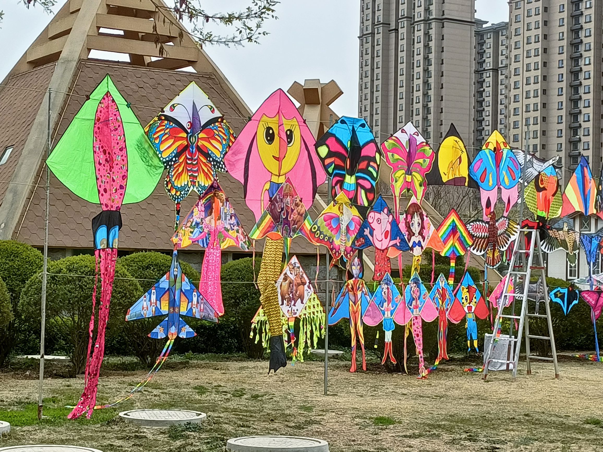 金山公园旅行图片 3