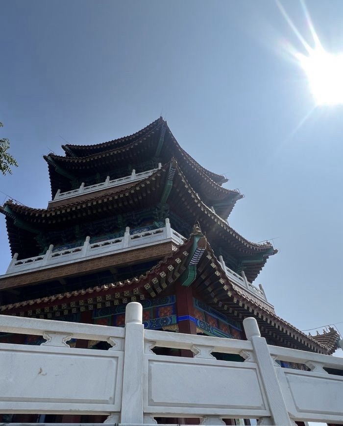 金山公园旅行图片 1