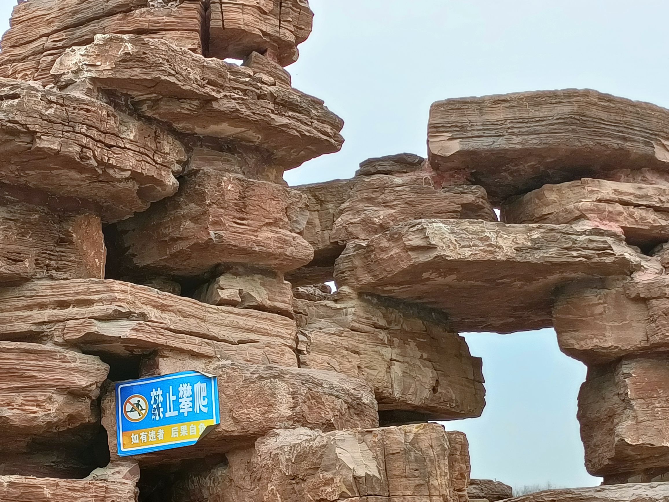 金山公园旅行图片 1
