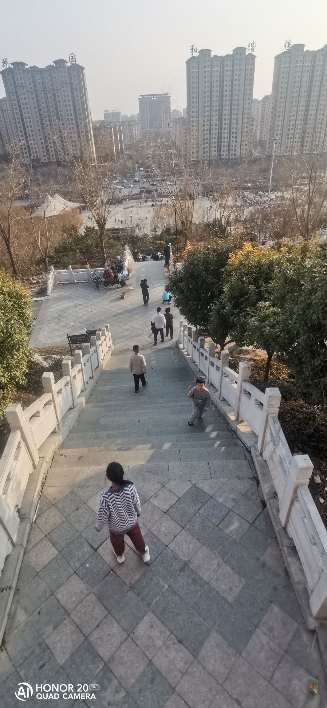 金山公园旅行图片 2