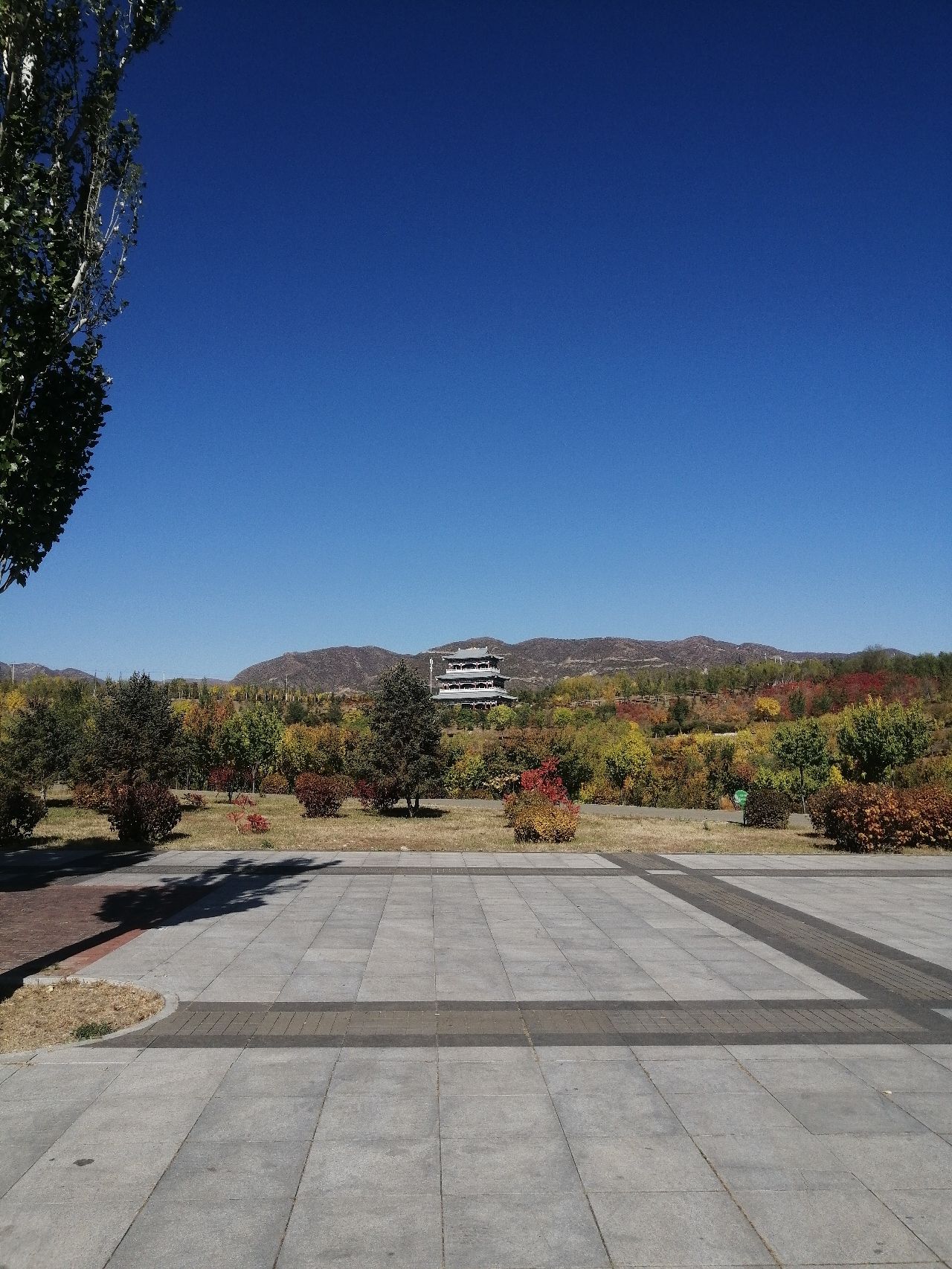 哈拉沁吉沙公园旅行图片 1