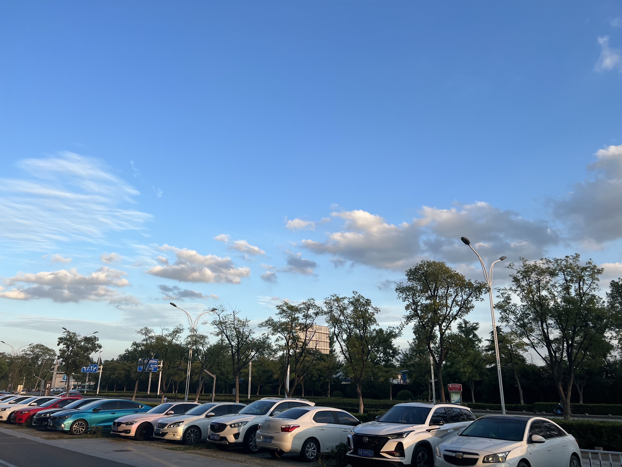 九龙湖公园旅行图片 3