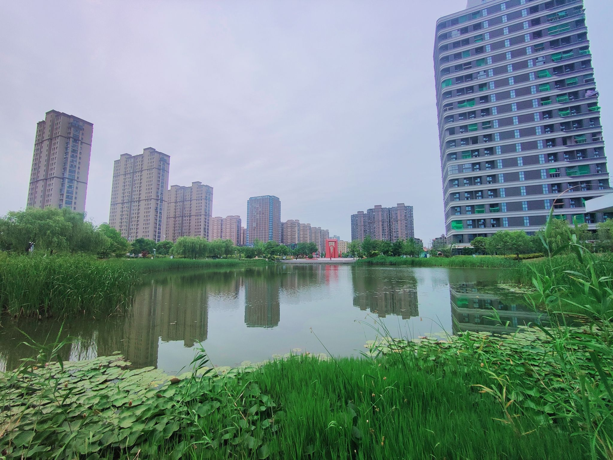 九龙湖公园旅行图片 1