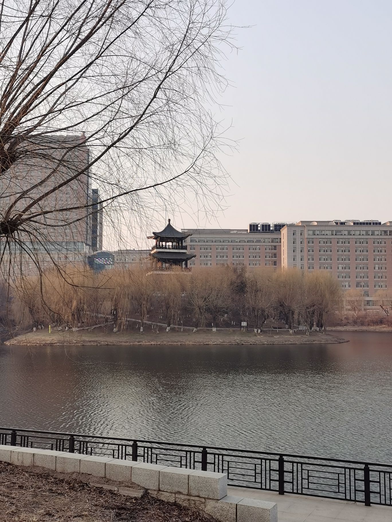 长春德苑旅行图片 3
