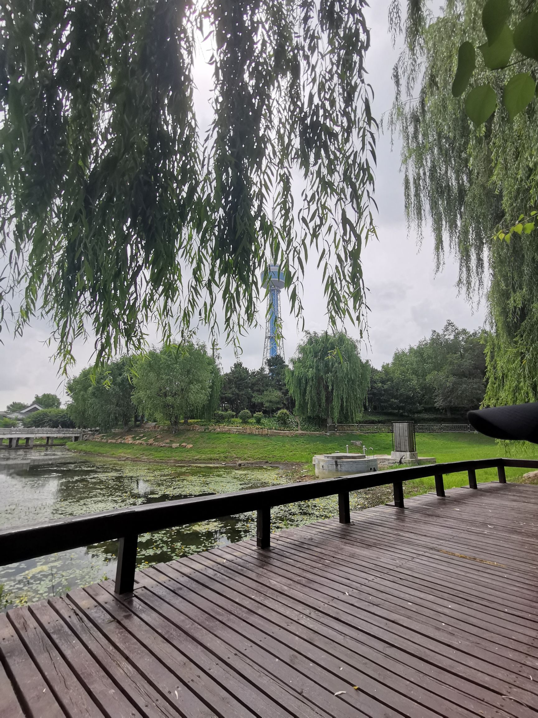 长春德苑旅行图片 1