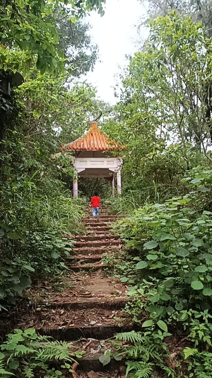 金龟公园旅行图片 1