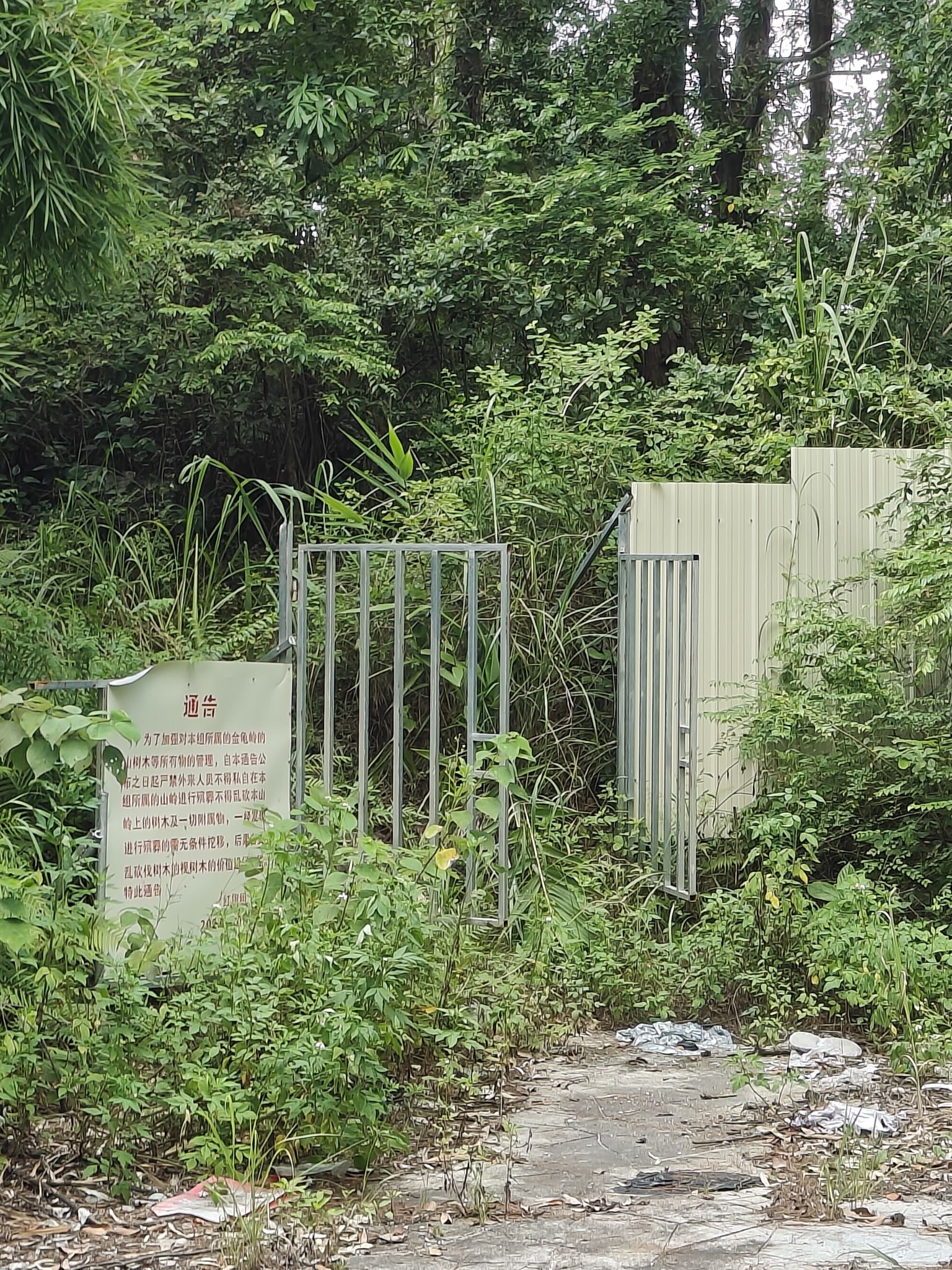 金龟公园旅行图片 1