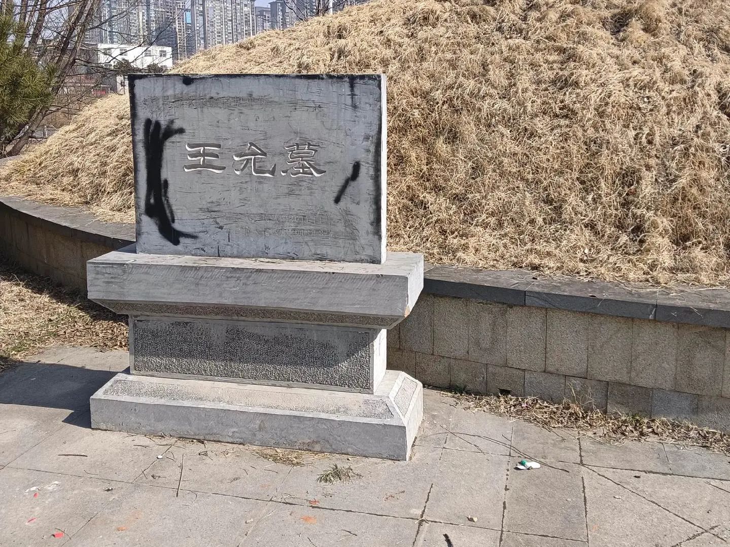 汉朝名相王允陵园风景区旅行图片 2