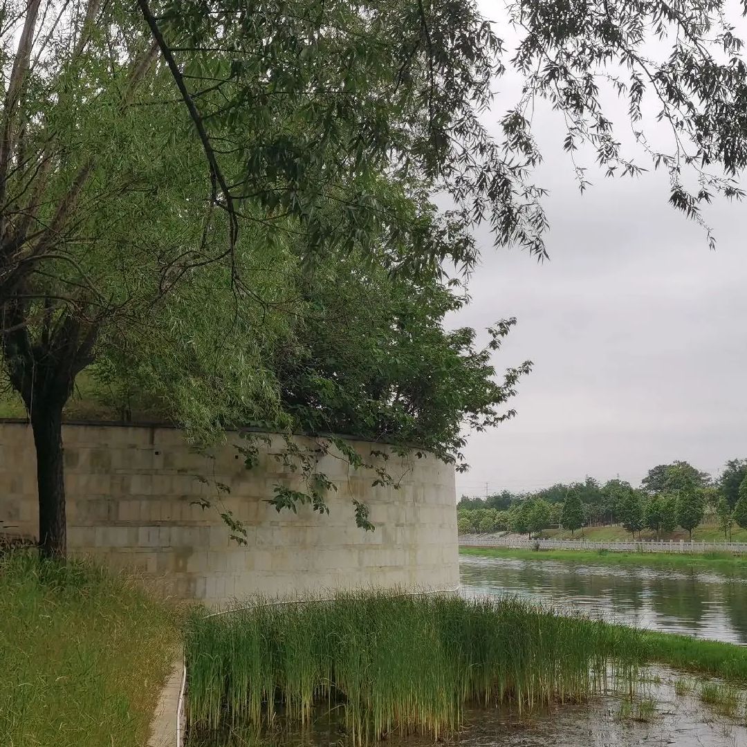 汉朝名相王允陵园风景区旅行图片 3