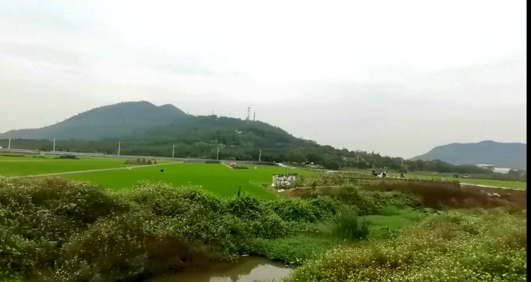 荔山旅行图片 2