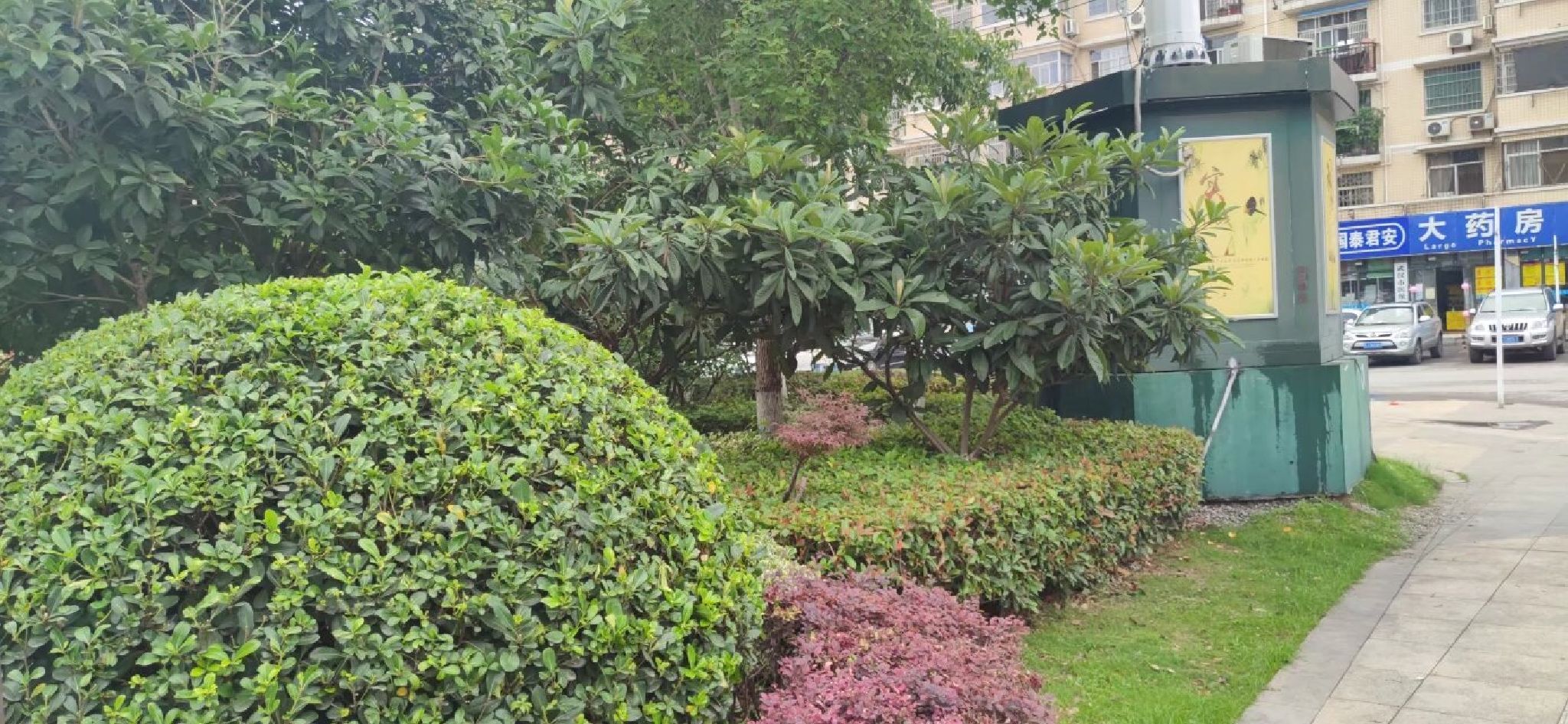 融侨悦动公园旅行图片 1