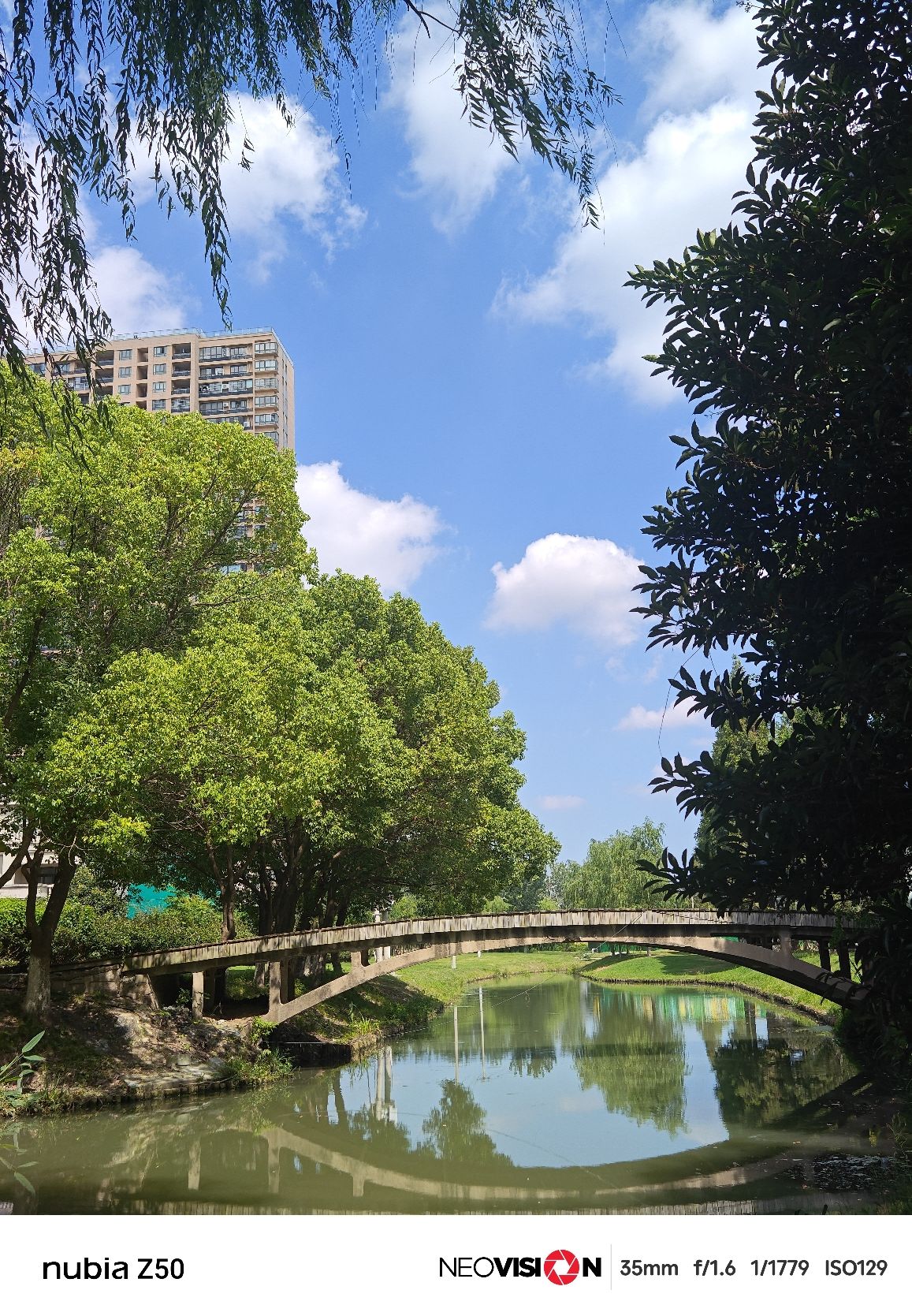 集善公园旅行图片 1