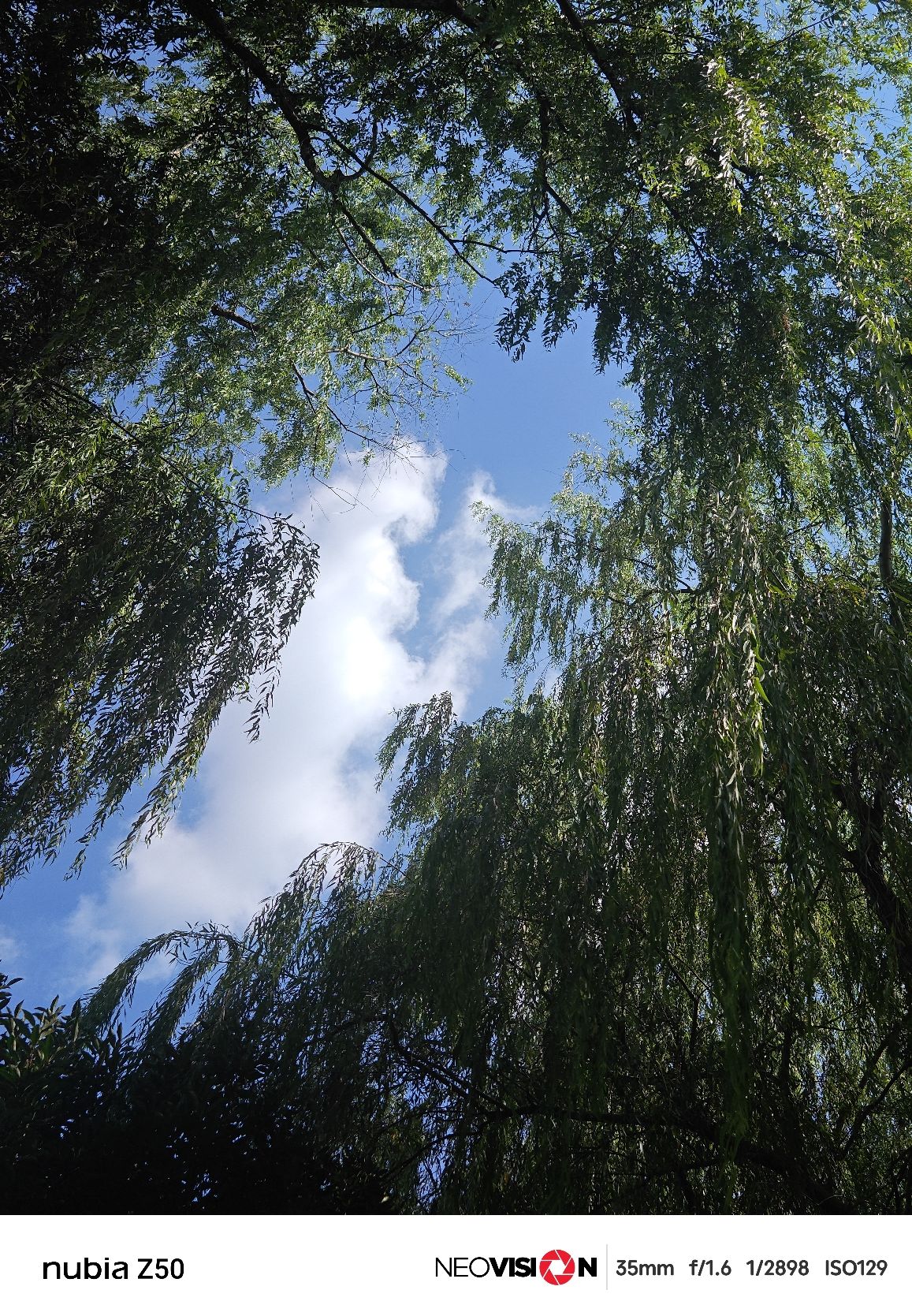 集善公园旅行图片 2