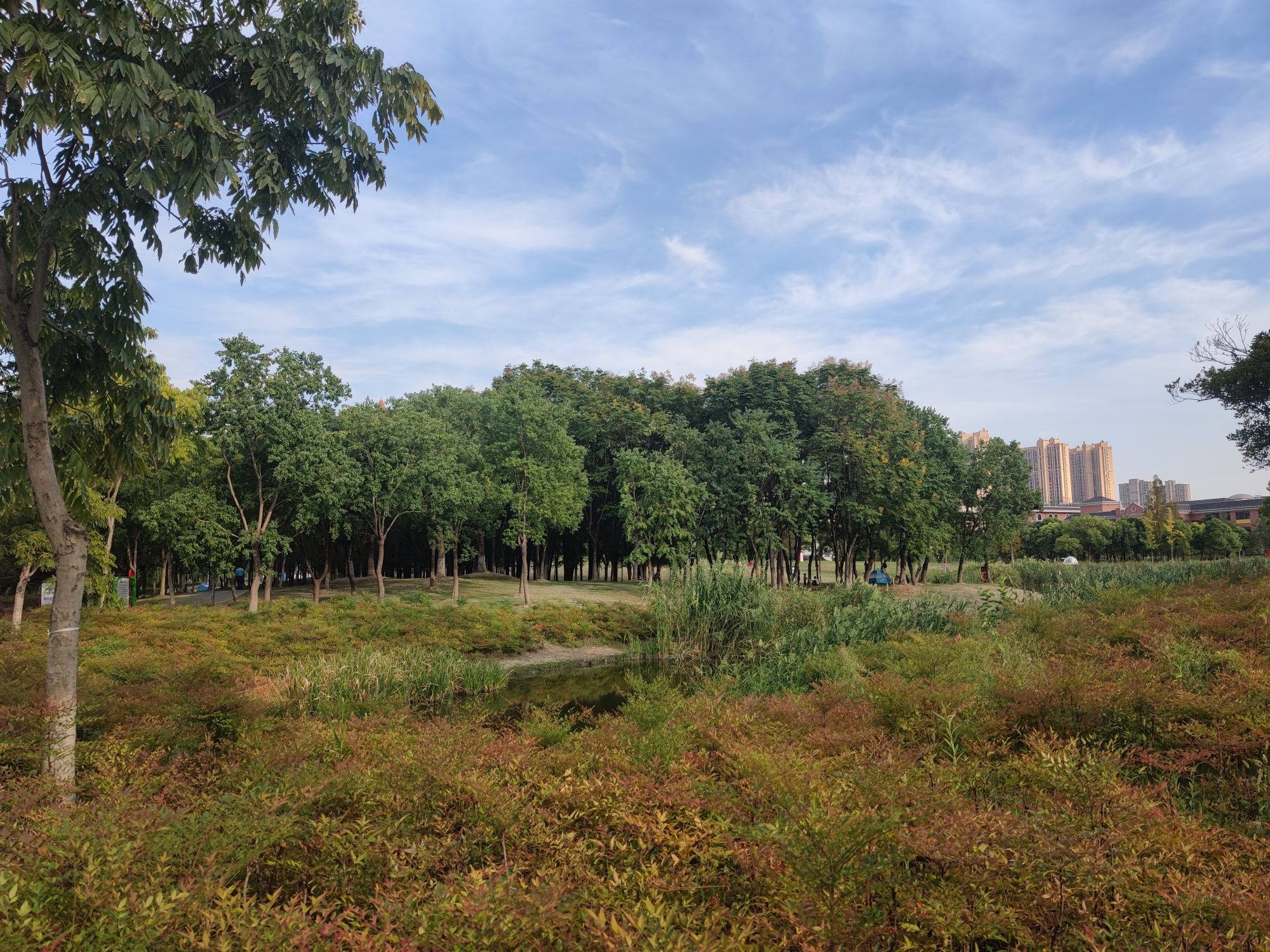 集善公园旅行图片 2