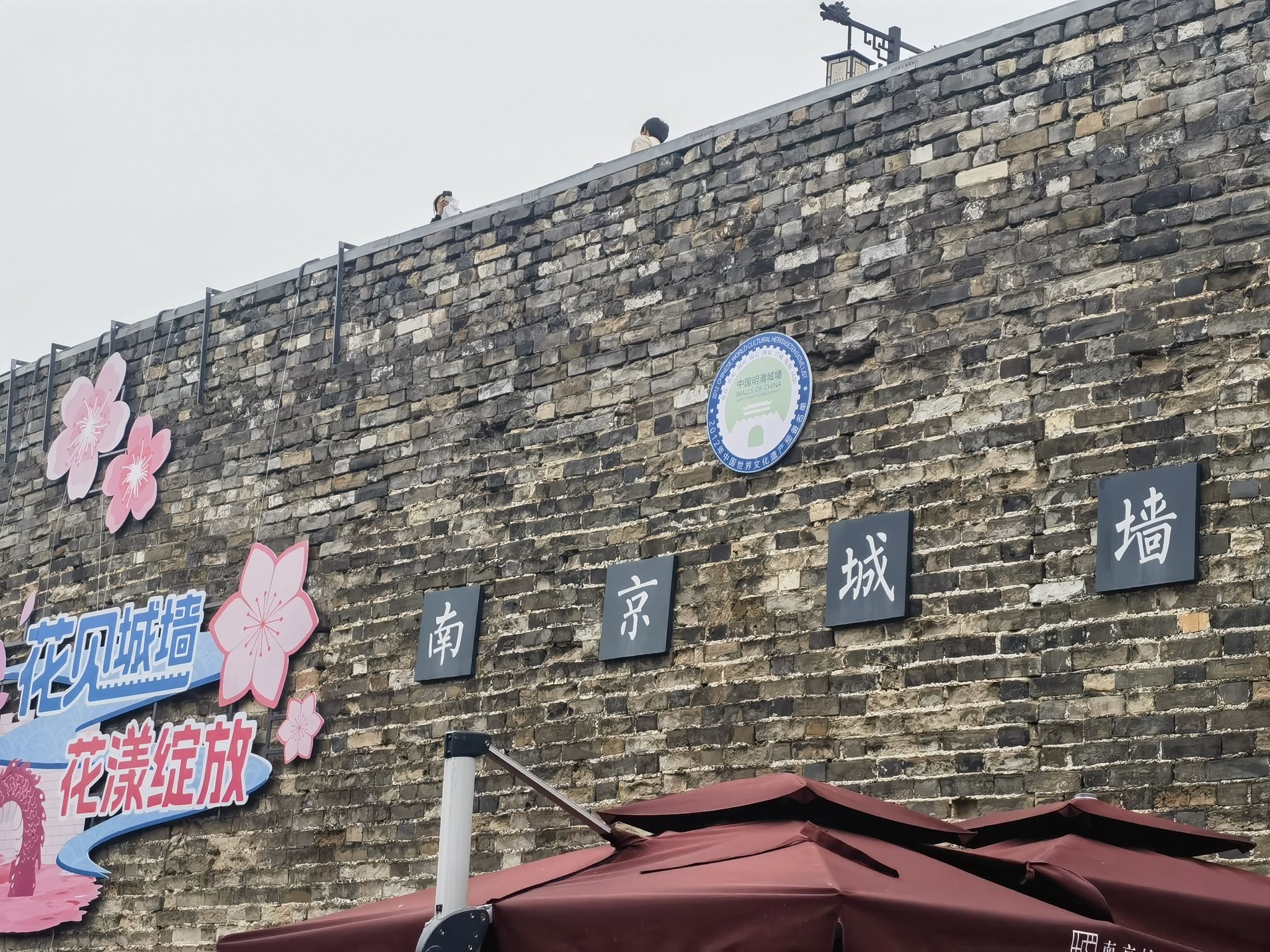 南京城墙台城景区旅行图片 2