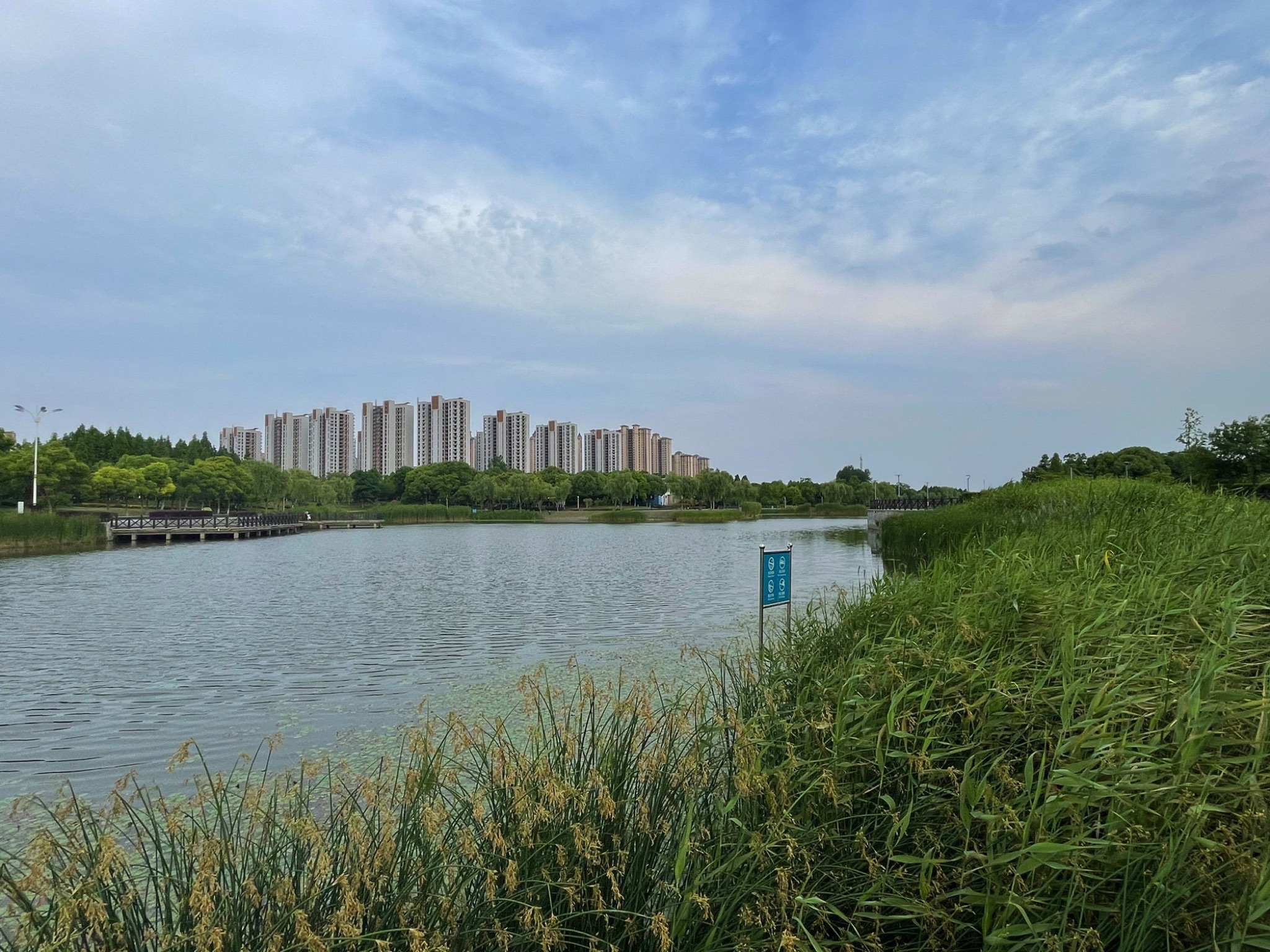 龙游河生态公园旅行图片 1