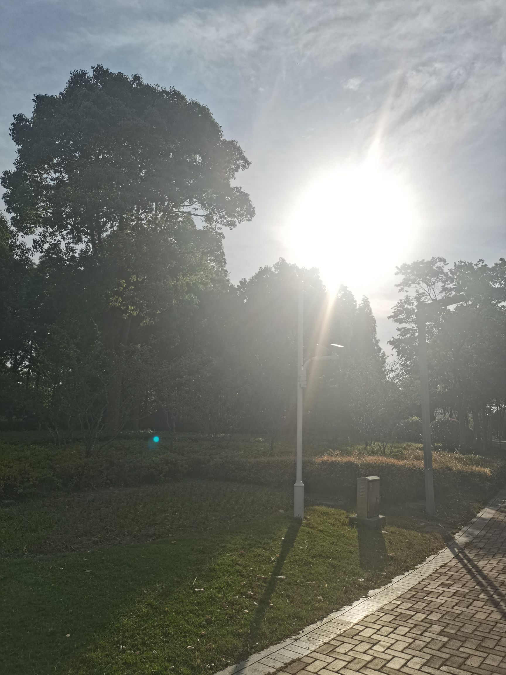 龙游河生态公园旅行图片 2
