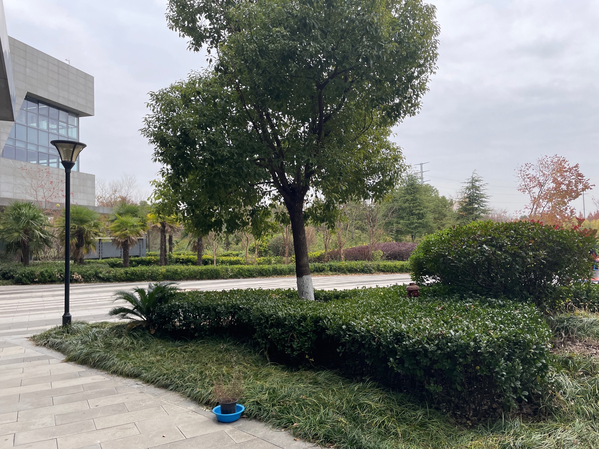 碧春湖生态湿地旅行图片 3