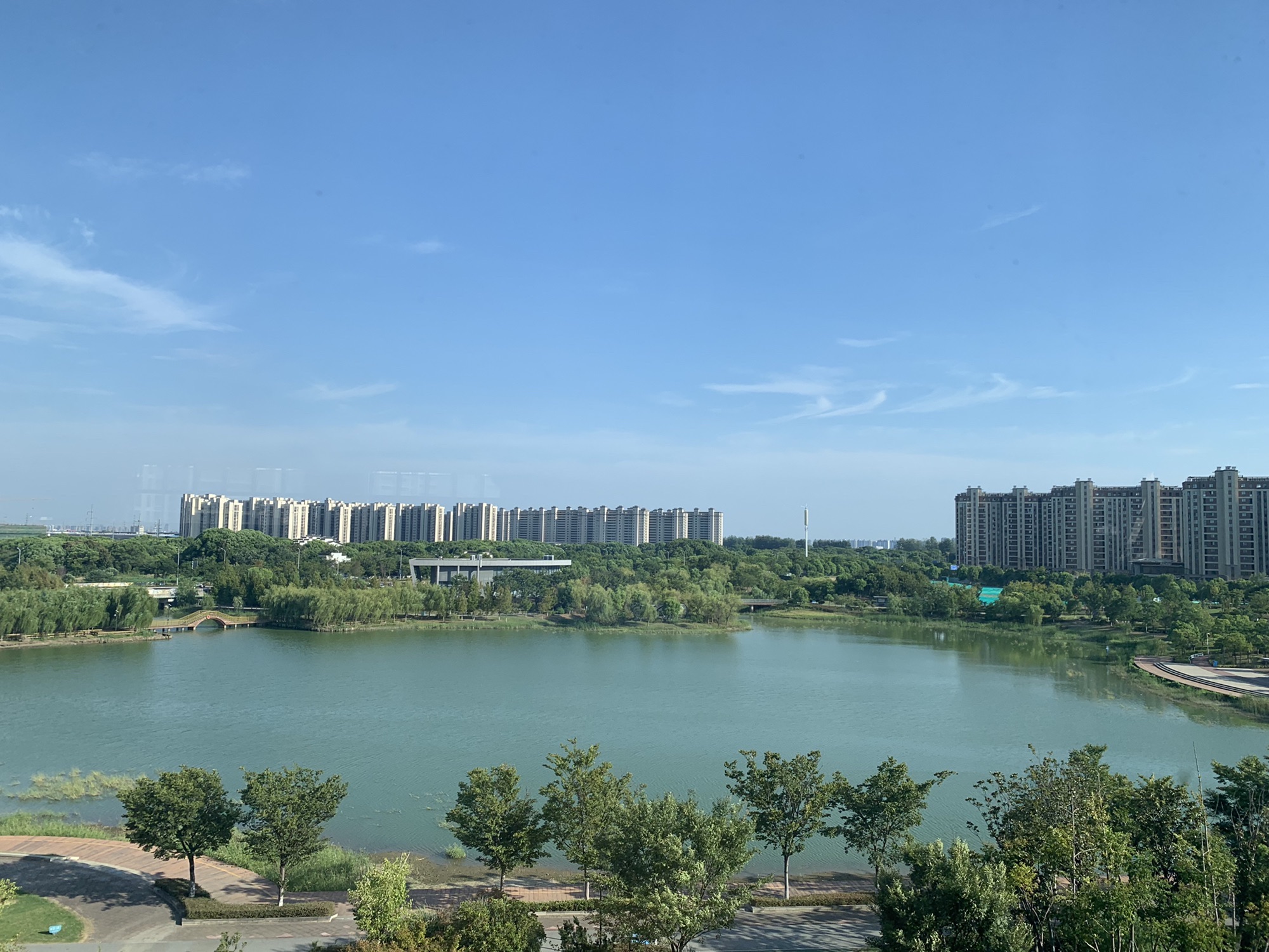 碧春湖生态湿地旅行图片 3