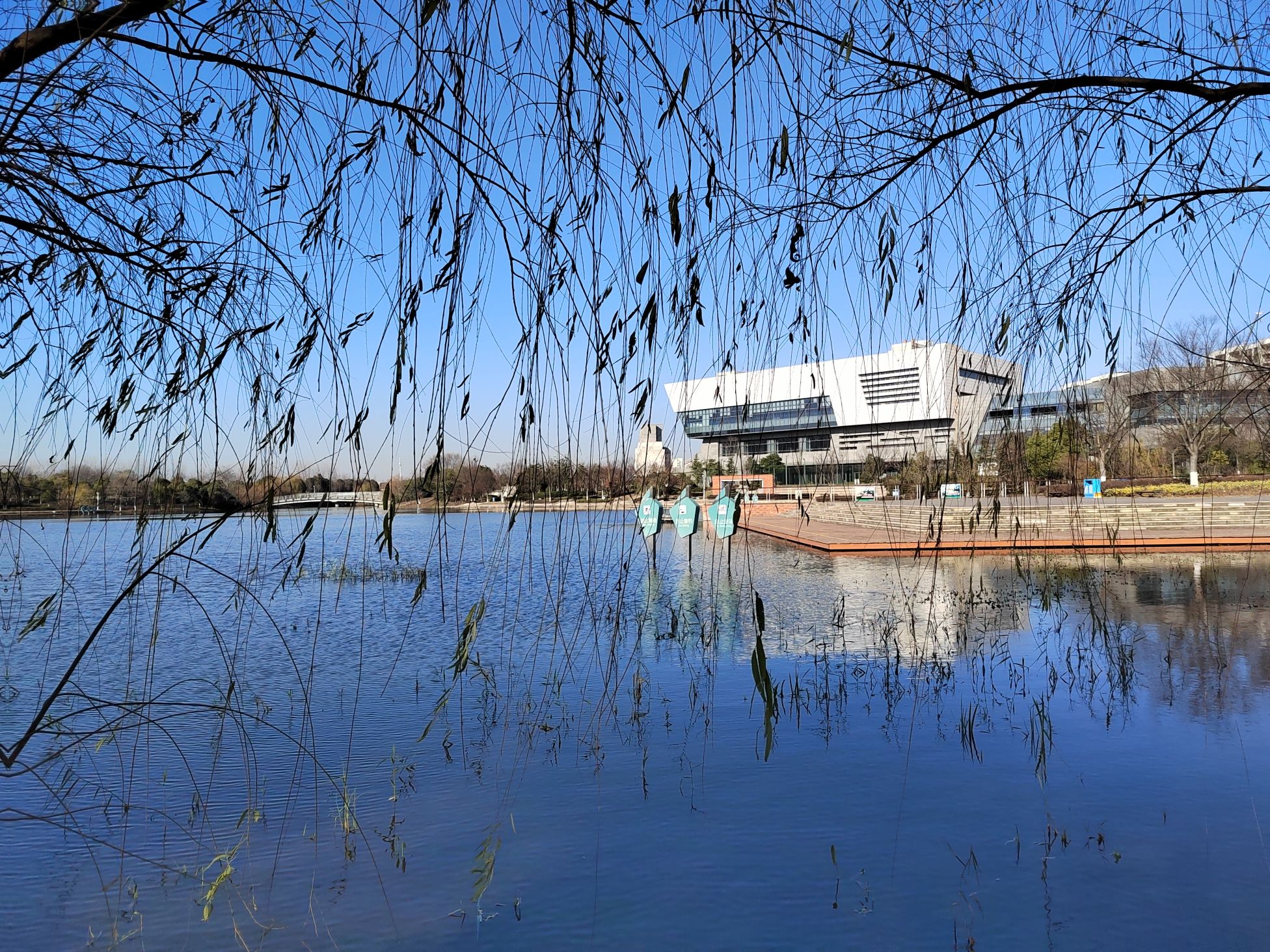 碧春湖生态湿地旅行图片 2