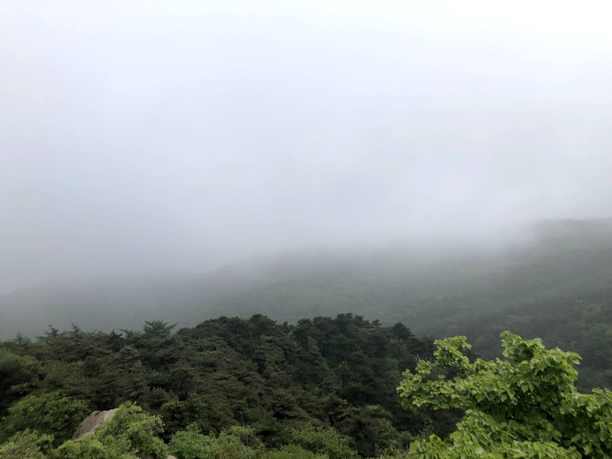 淄博沂源南鲁山风景区(暂停开放)旅行图片 1