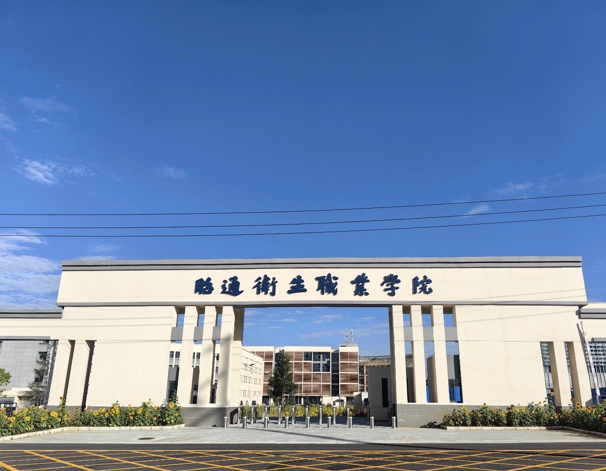 昭通卫生职业学院