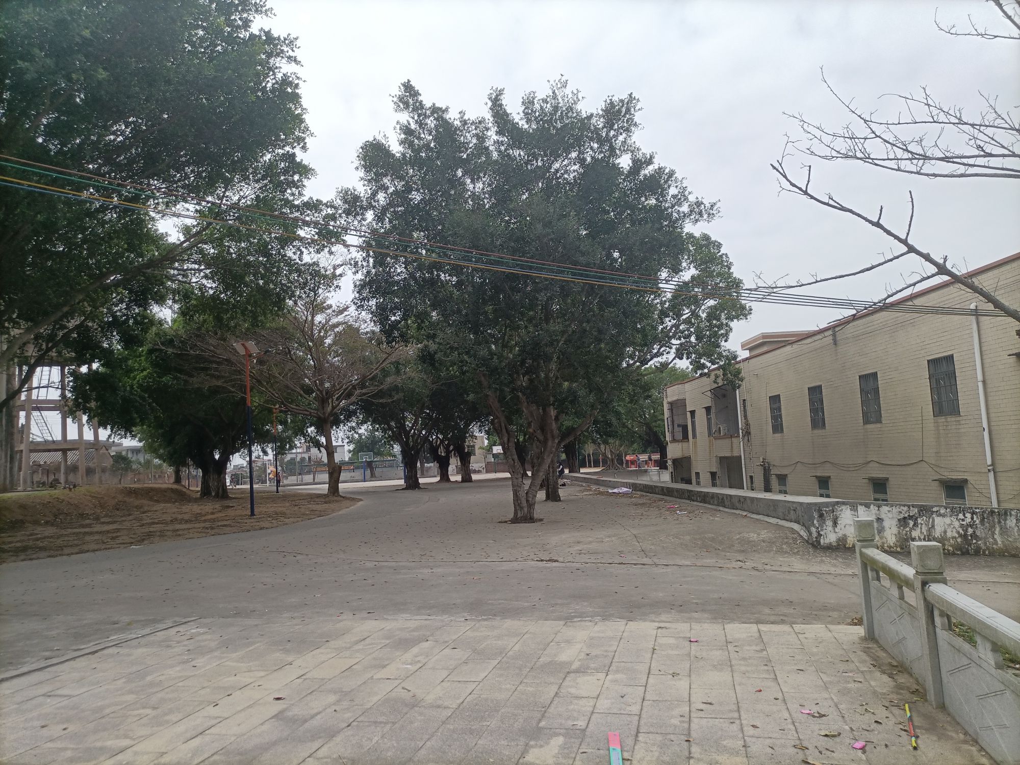 石岭公园旅行图片 2
