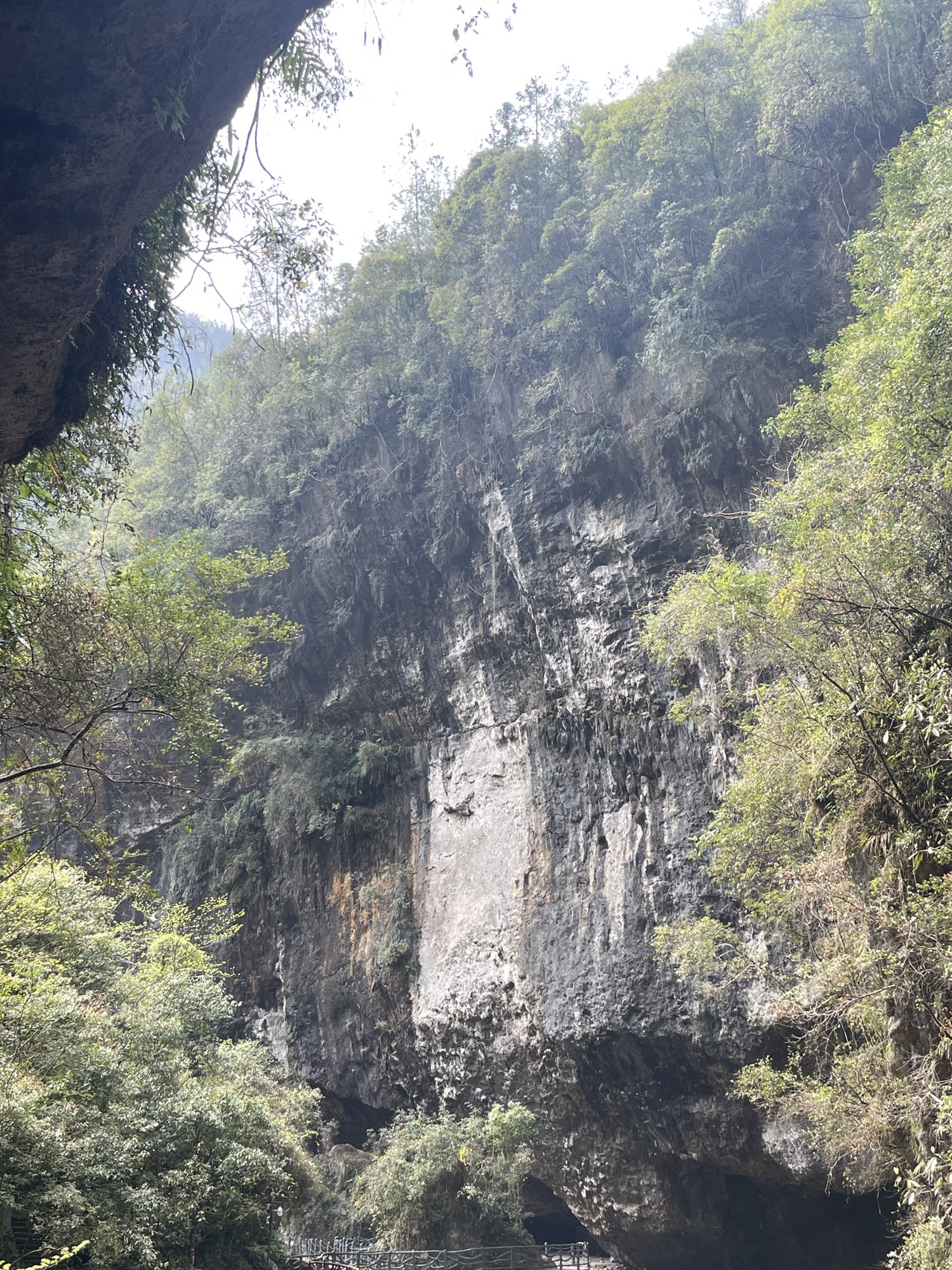 巴山大峡谷景区旅行图片 3