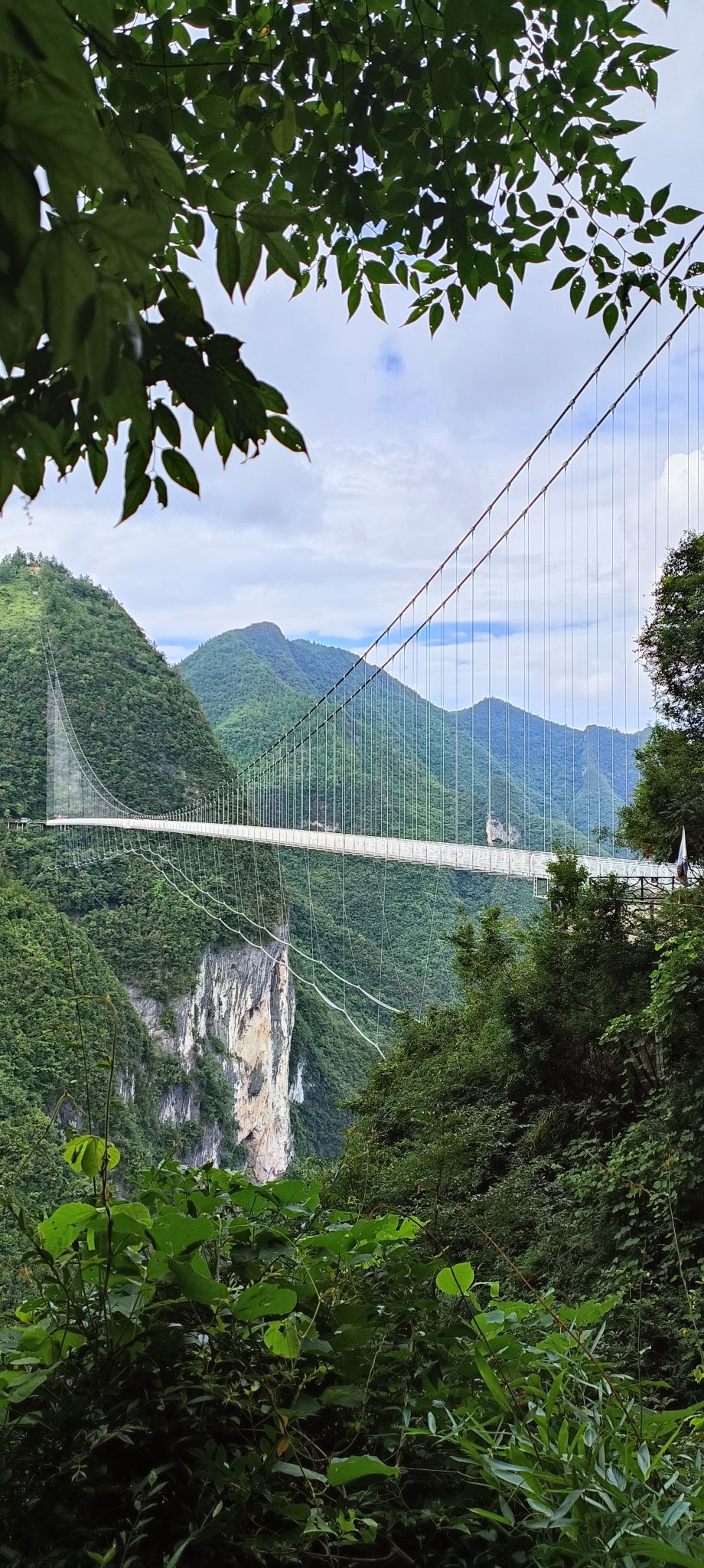 巴山大峡谷景区旅行图片 3