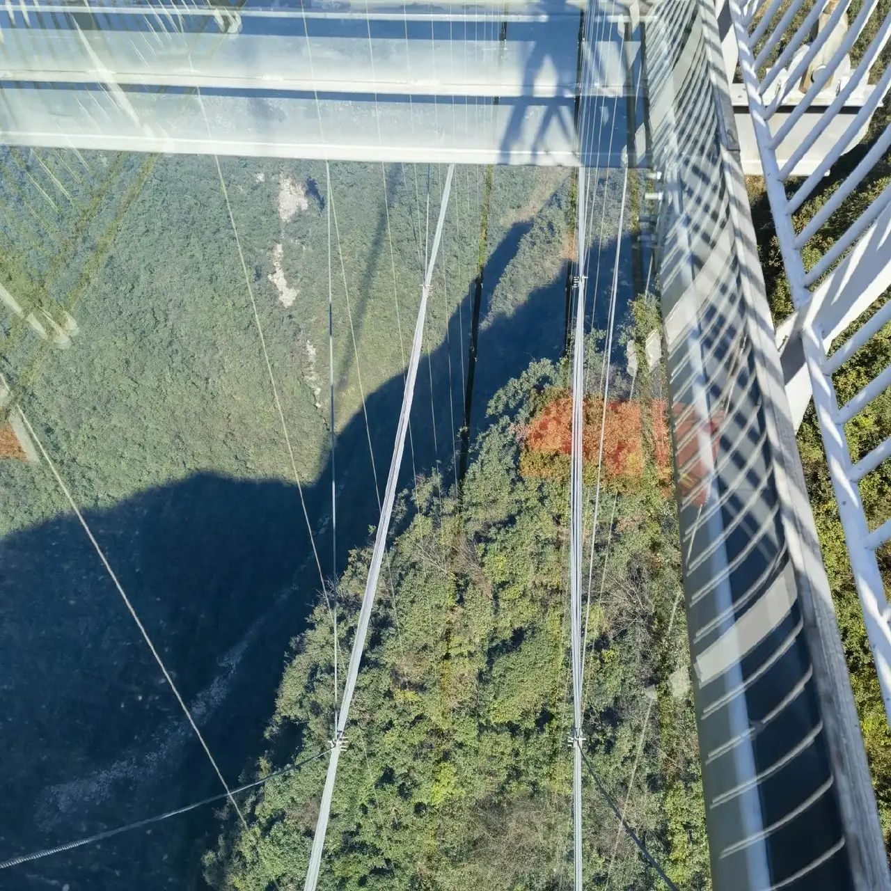 巴山大峡谷景区旅行图片 2