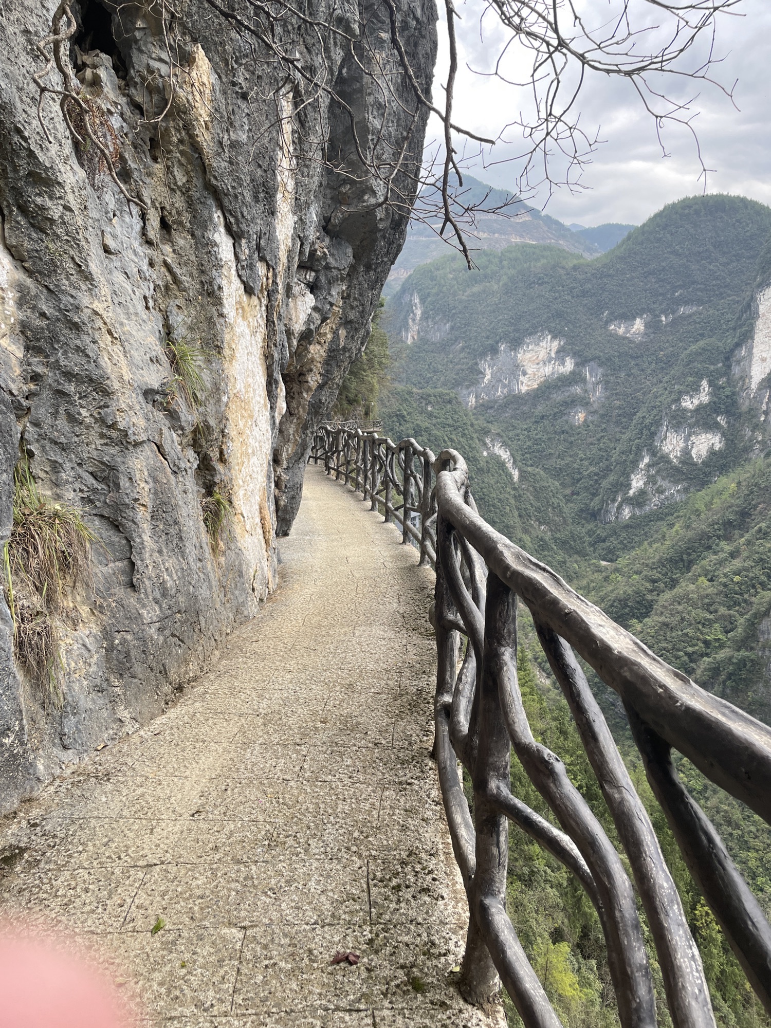 巴山大峡谷景区旅行图片 1