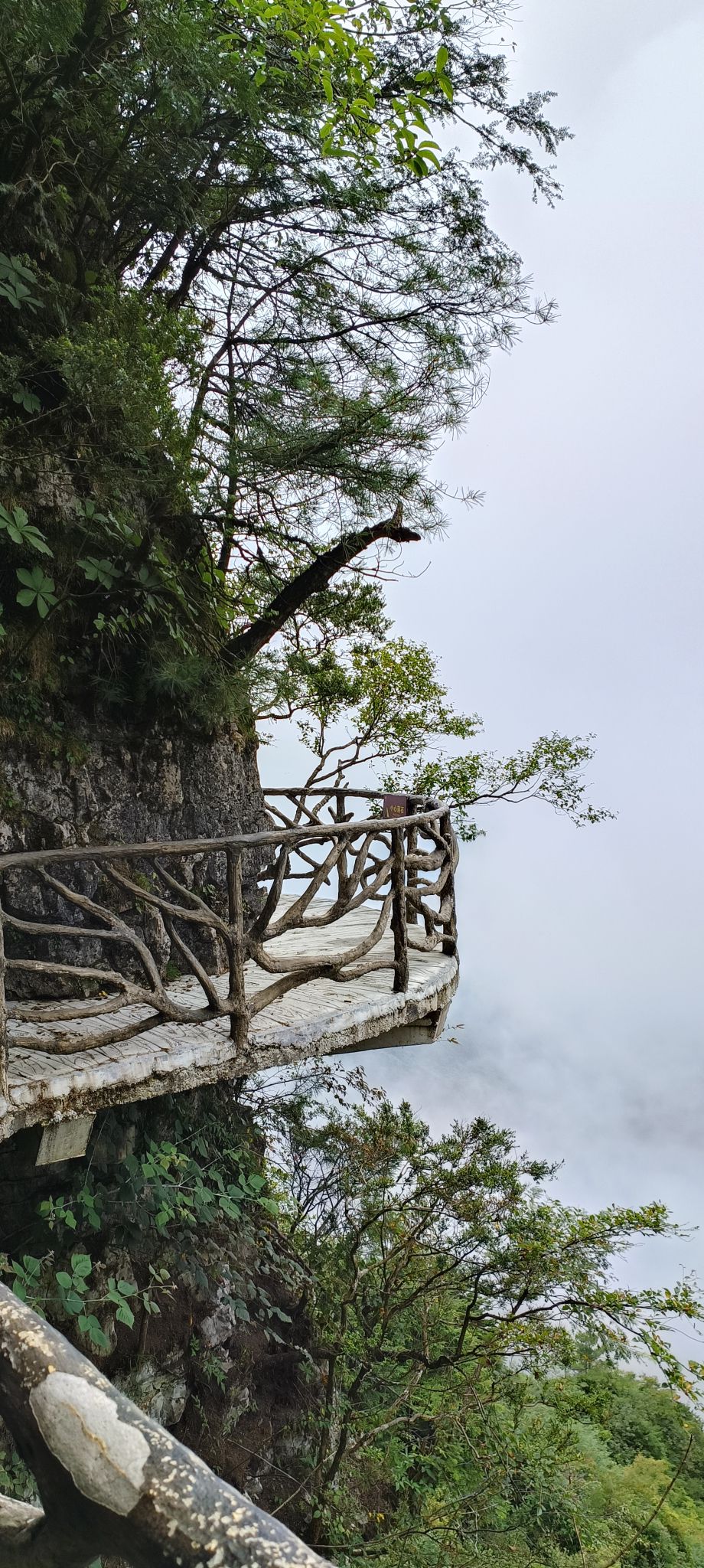 巴山大峡谷景区旅行图片 1
