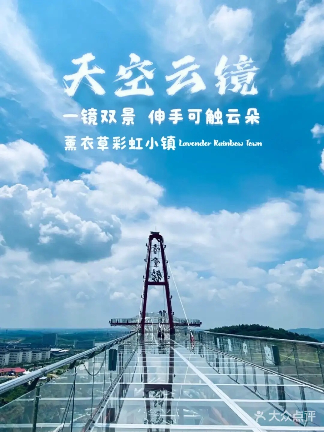 长山薰衣草庄园旅行图片 2