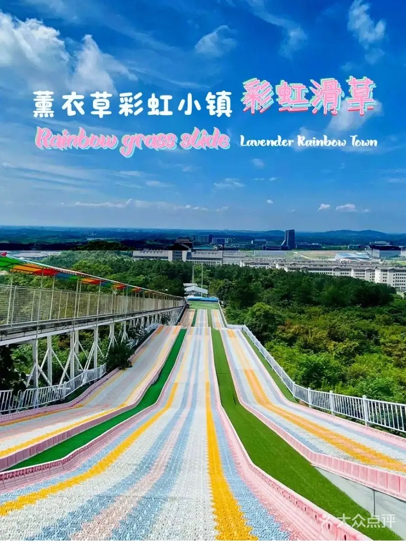 长山薰衣草庄园旅行图片 3