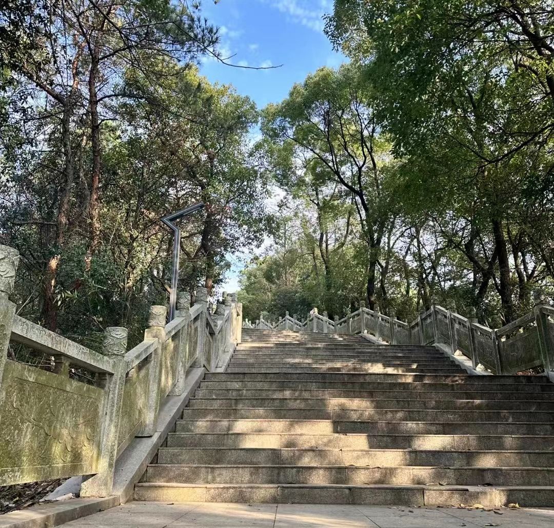 会龙公园旅行图片 2