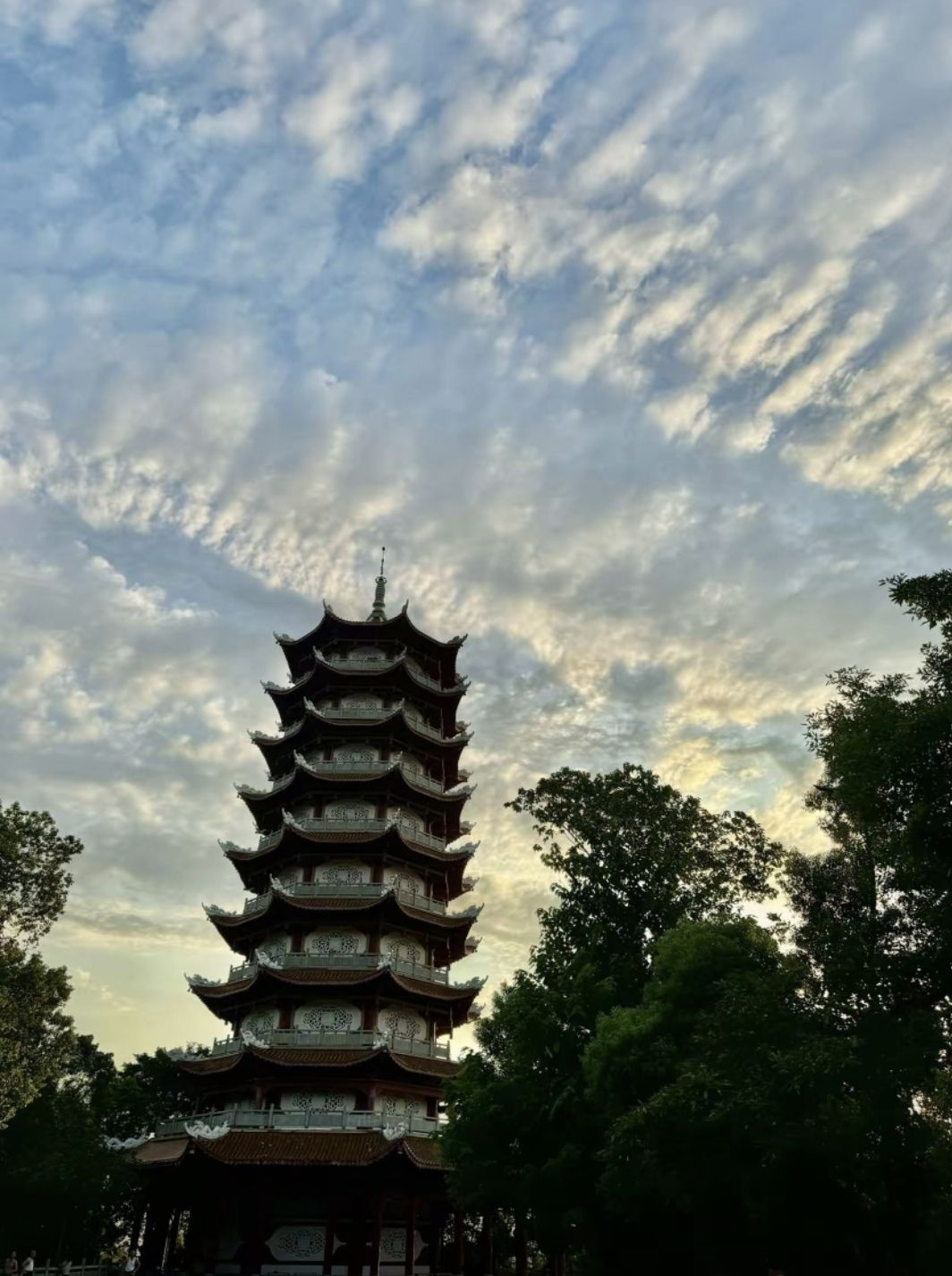 会龙公园旅行图片 1