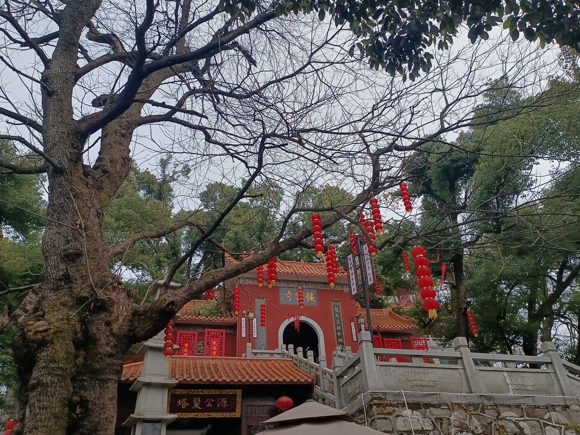 会龙公园旅行图片 2
