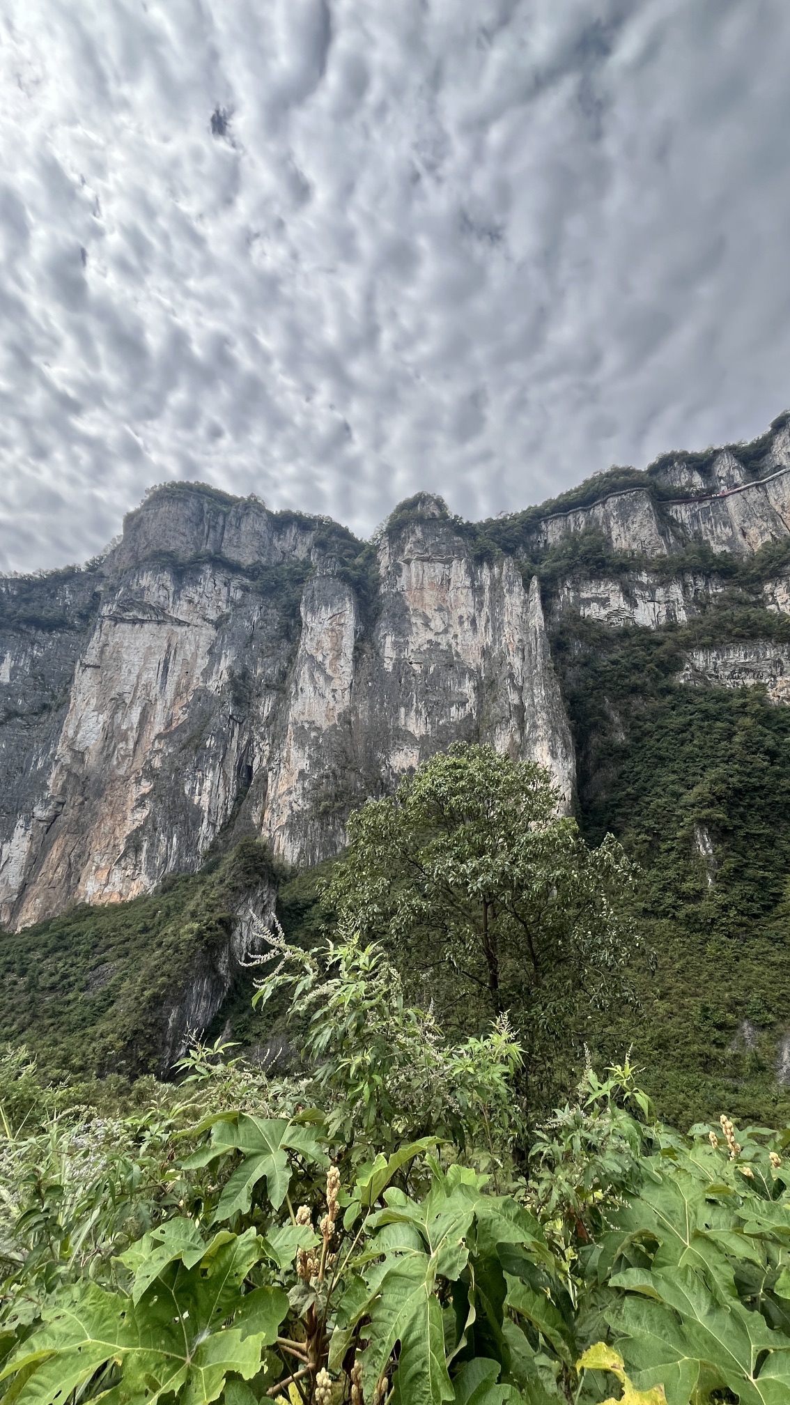 湄江国家地质公园旅行图片 3