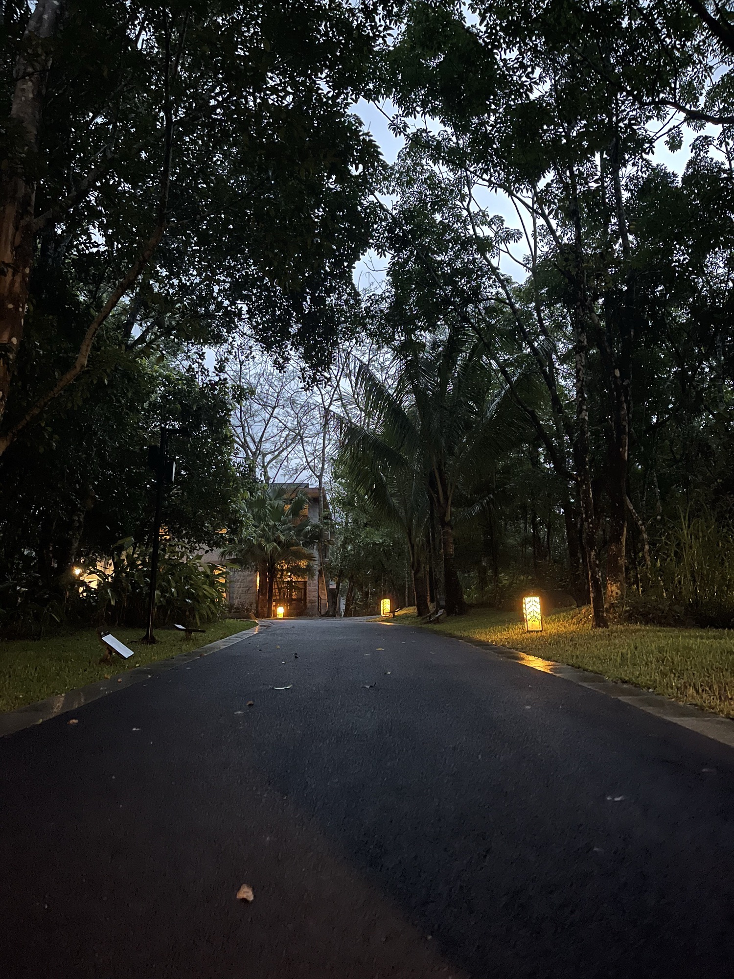 君澜热带雨林温泉酒店