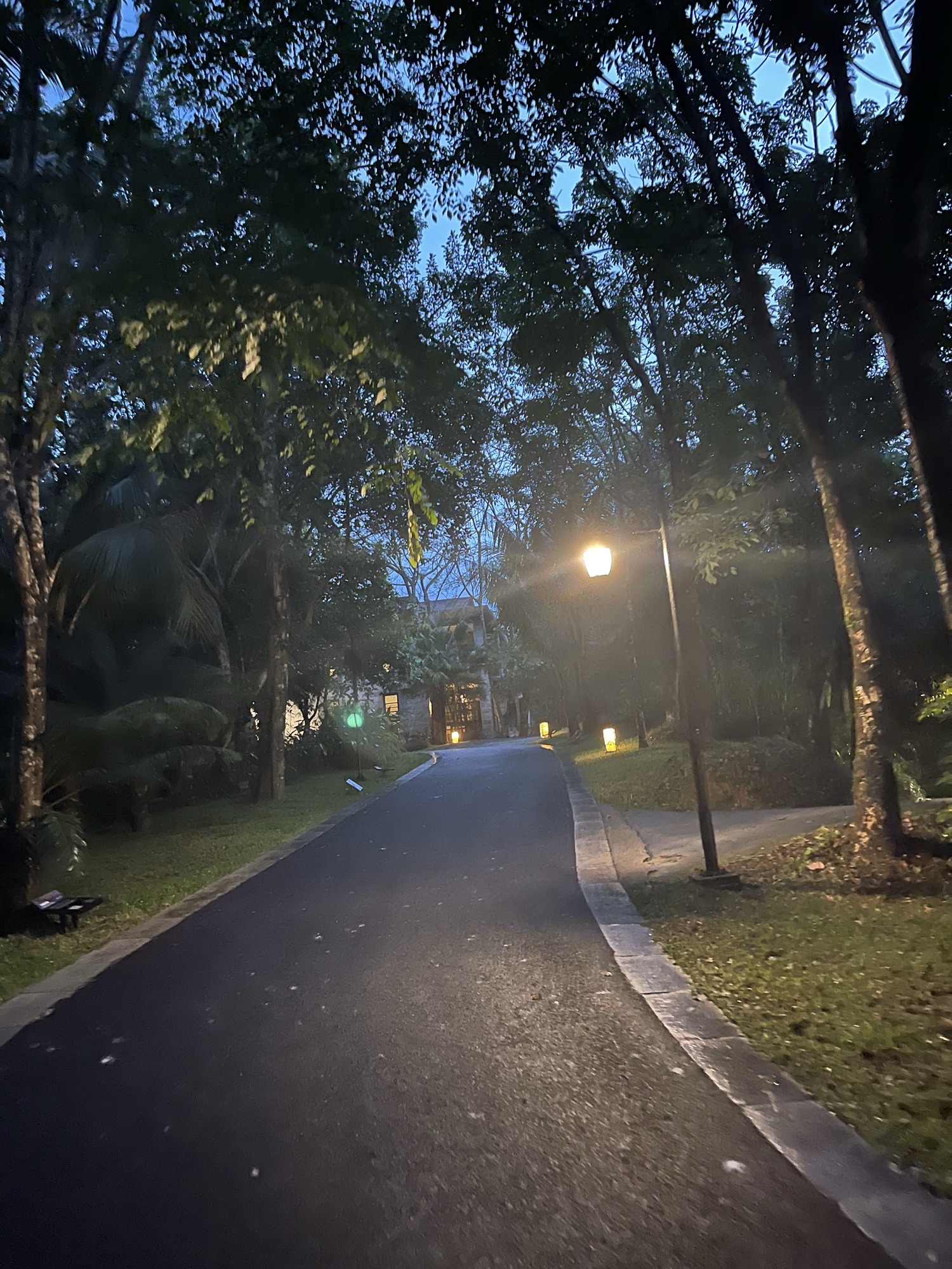 君澜热带雨林温泉酒店