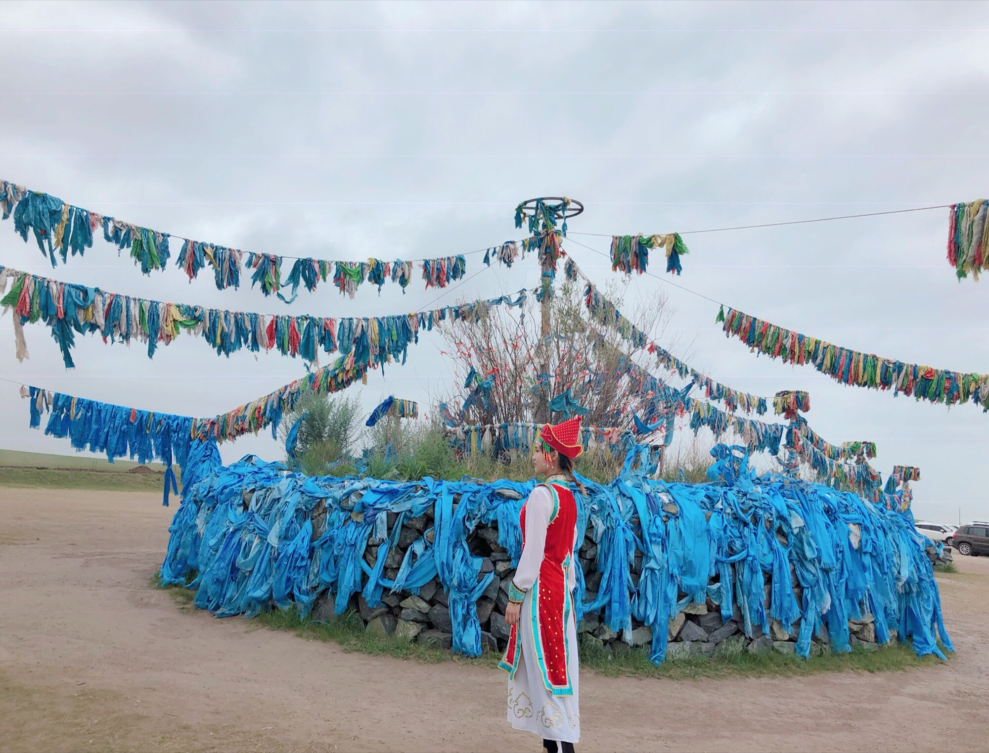 呼伦贝尔大草原巴彦塔拉草原景区(暂停开放)旅行图片 2