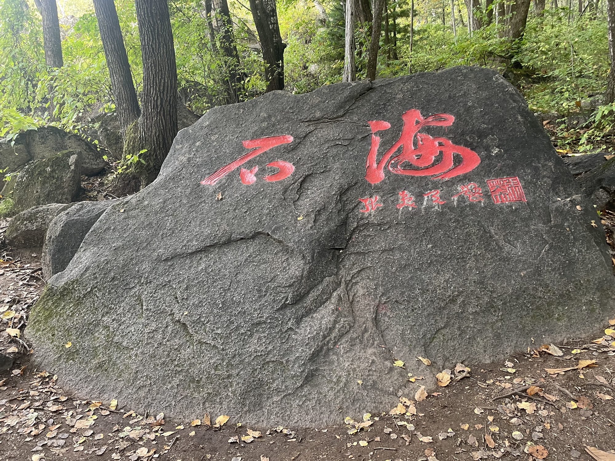 长寿山国家森林公园旅行图片 3