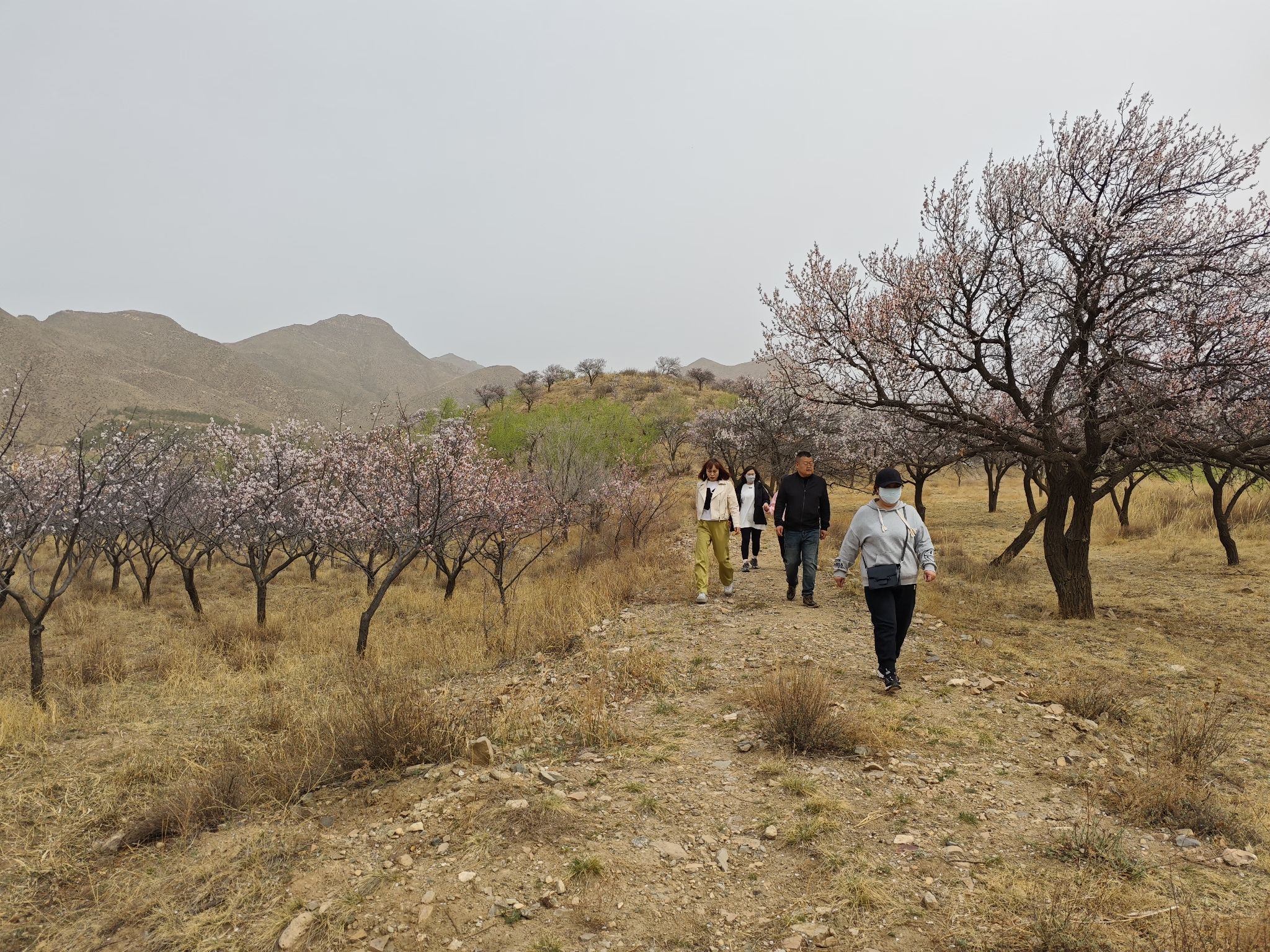 杏泉峪旅游区旅行图片 2