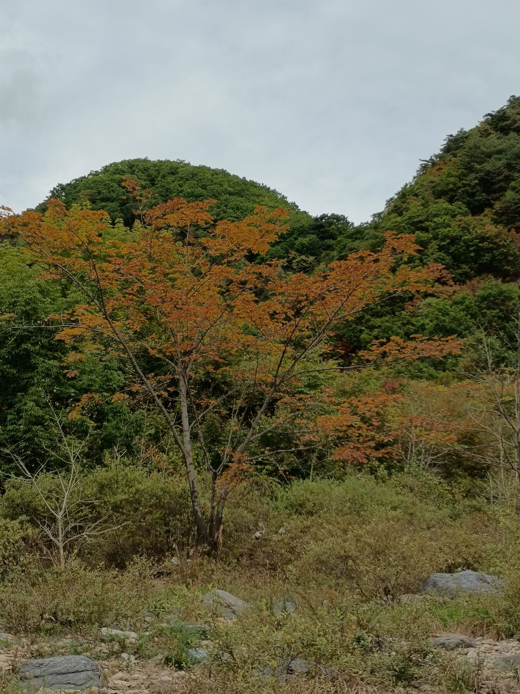 湖里景区旅行图片 2