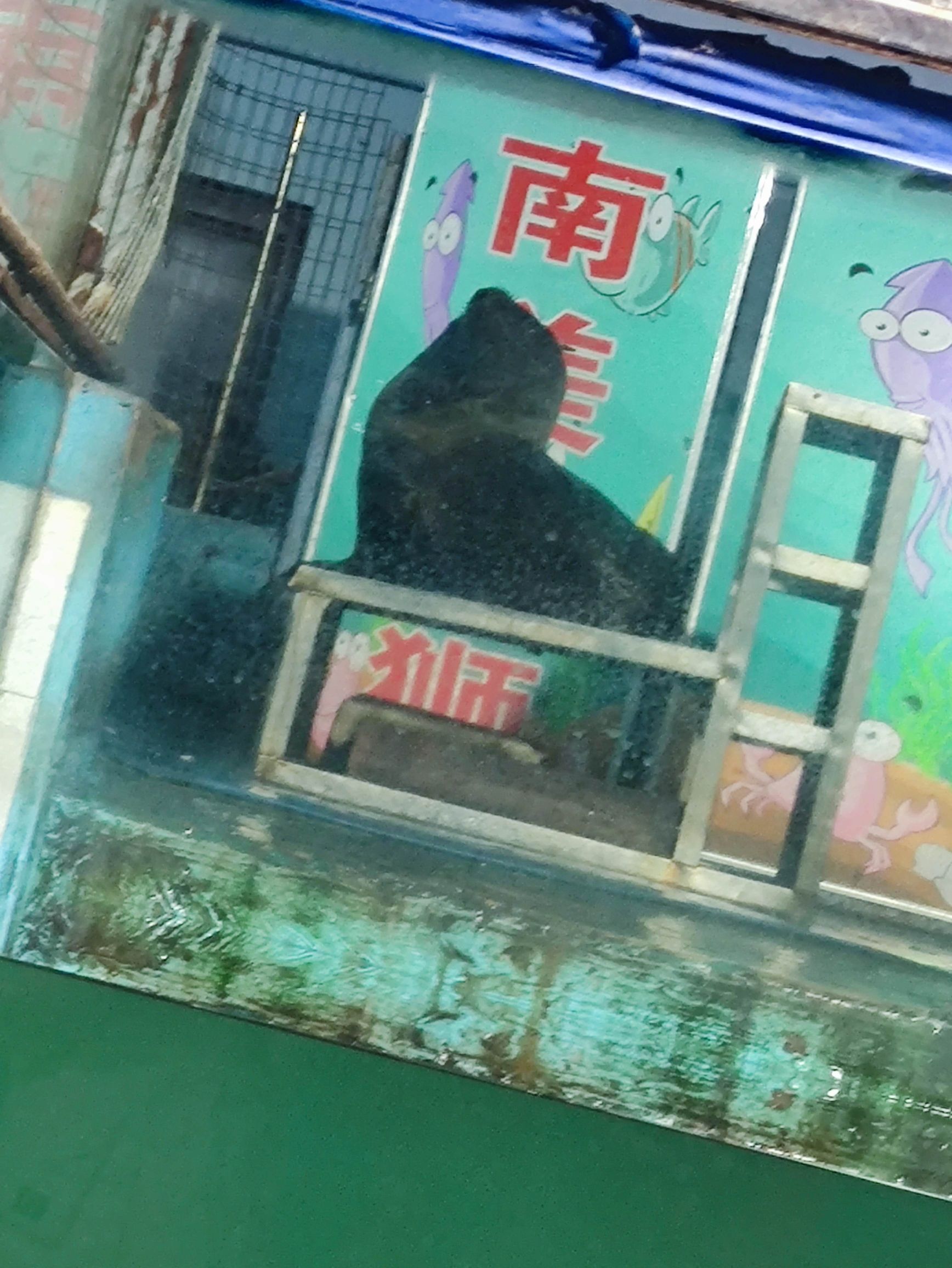海韵海底动物世界旅行图片 3