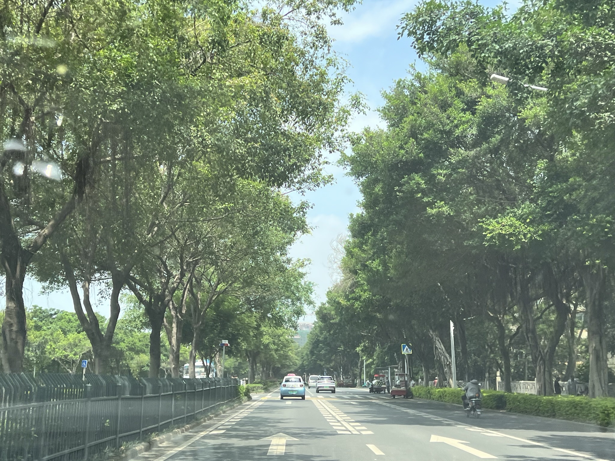 南宁市江滨休闲公园旅行图片 3