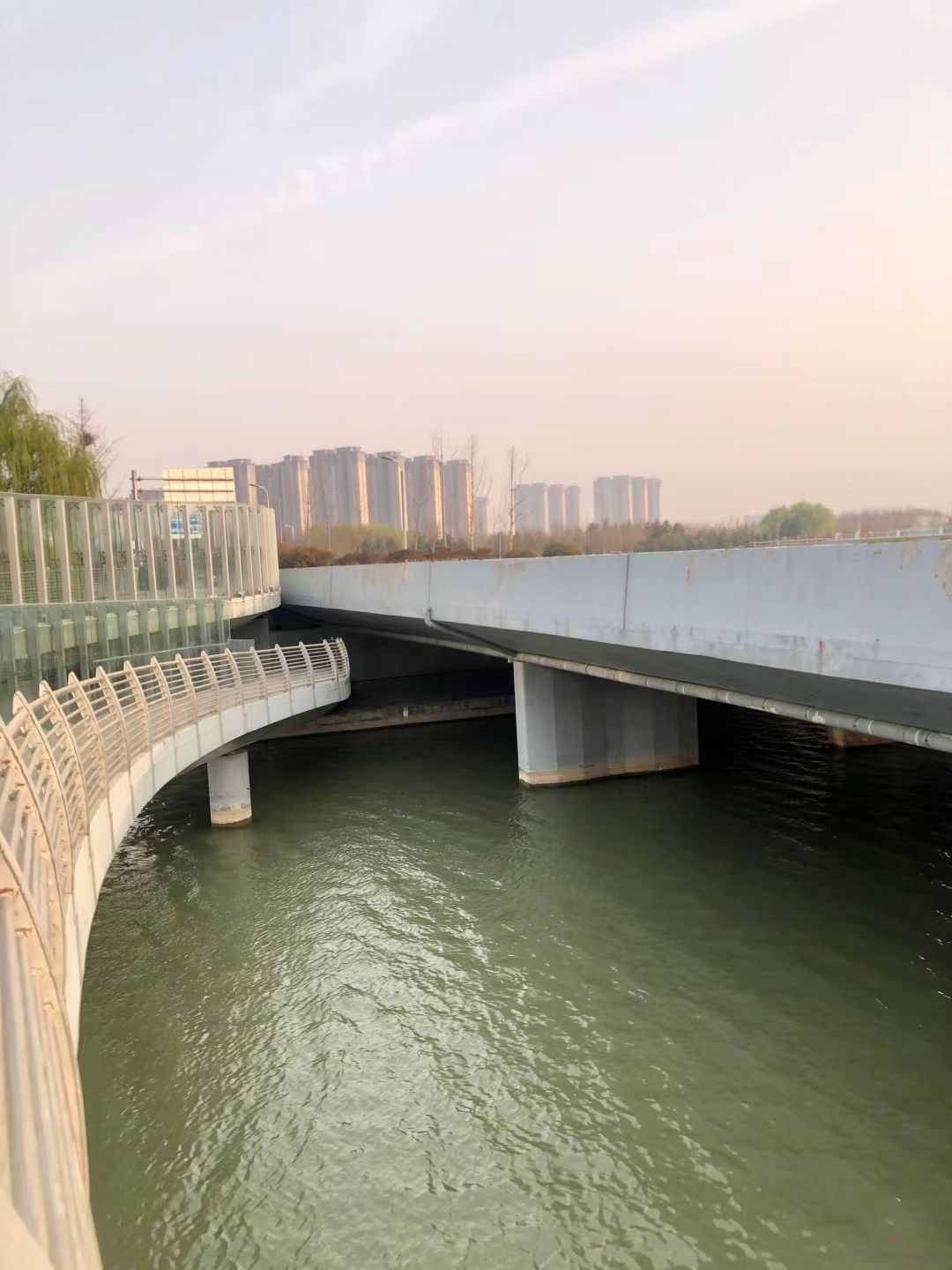 双鹤湖中央公园旅行图片 2