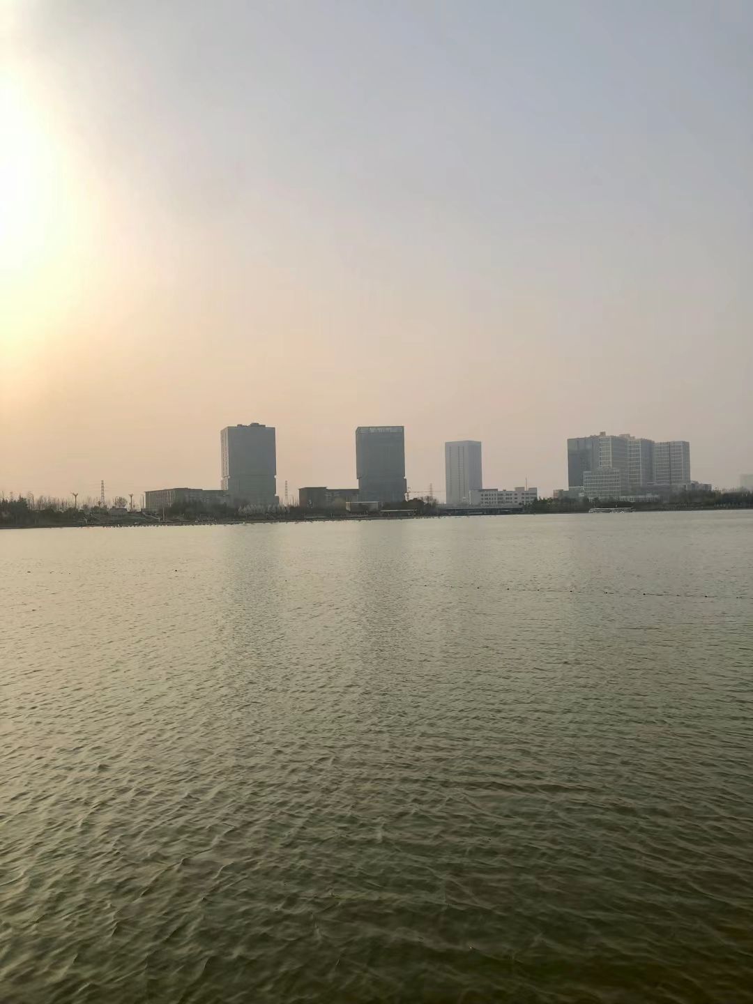双鹤湖中央公园旅行图片 3